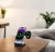 Ładowarka Indukcyjna Bezprzewodowa 3w1 USB-C Telefonu iPhone Samsung Watch QI 15W Zenwire A11B - zdjęcie 2